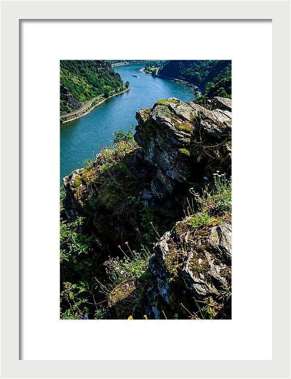 Lush Viewpoint Over The Rhine