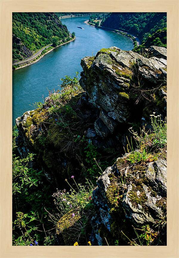 Lush Viewpoint Over The Rhine