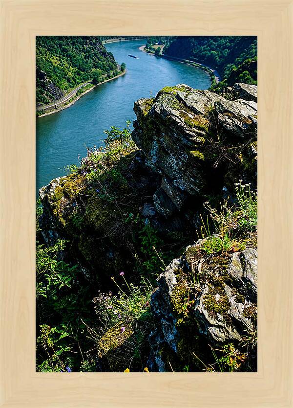 Lush Viewpoint Over The Rhine