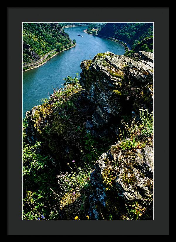 Lush Viewpoint Over The Rhine