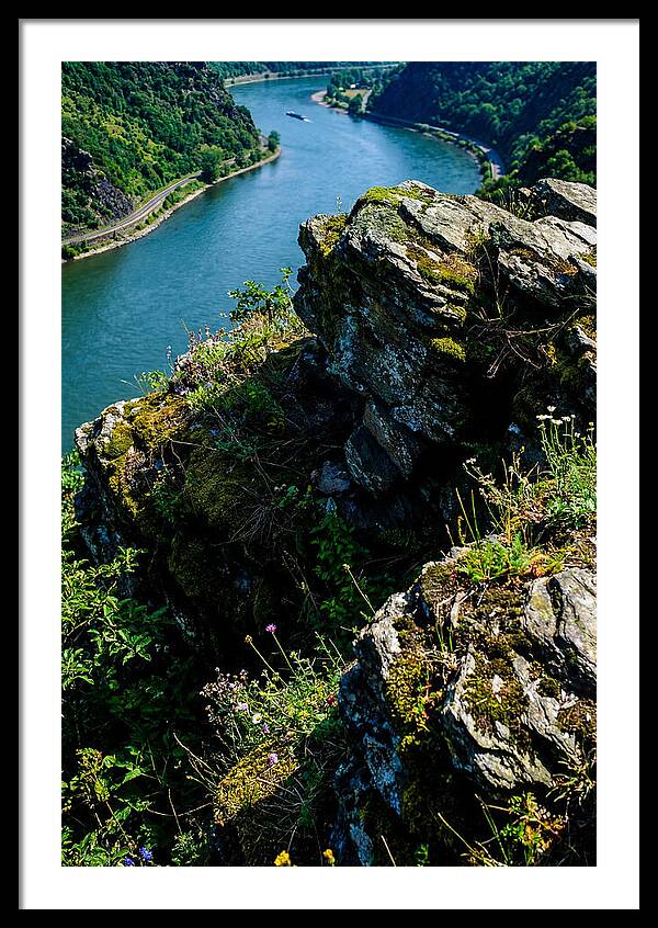 Lush Viewpoint Over The Rhine