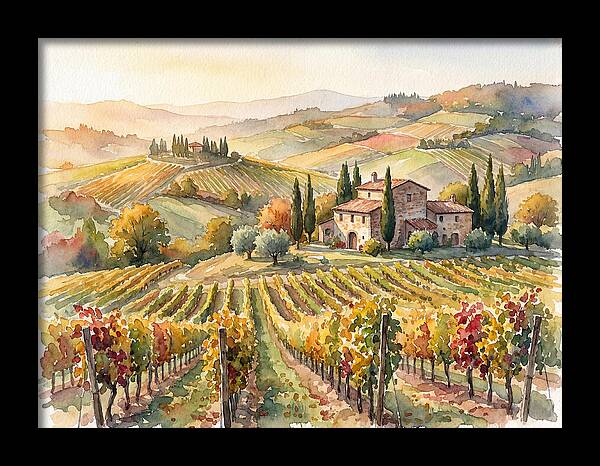Lush Vineyard Tranquility