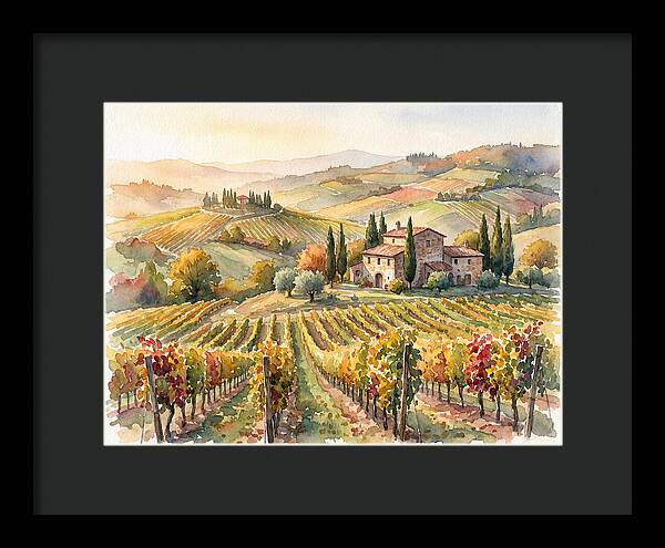 Lush Vineyard Tranquility
