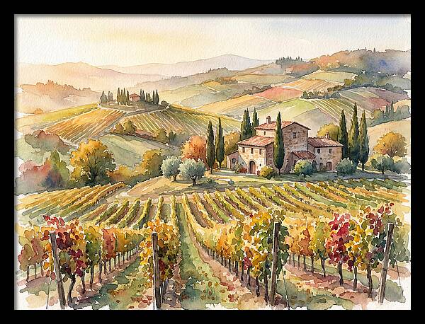 Lush Vineyard Tranquility