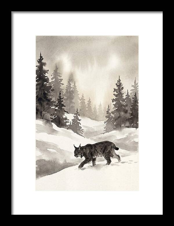 Lynx Hunting In Snow