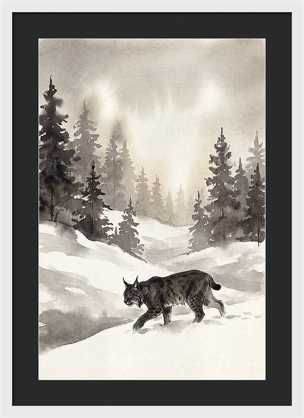 Lynx Hunting In Snow