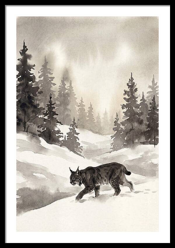 Lynx Hunting In Snow