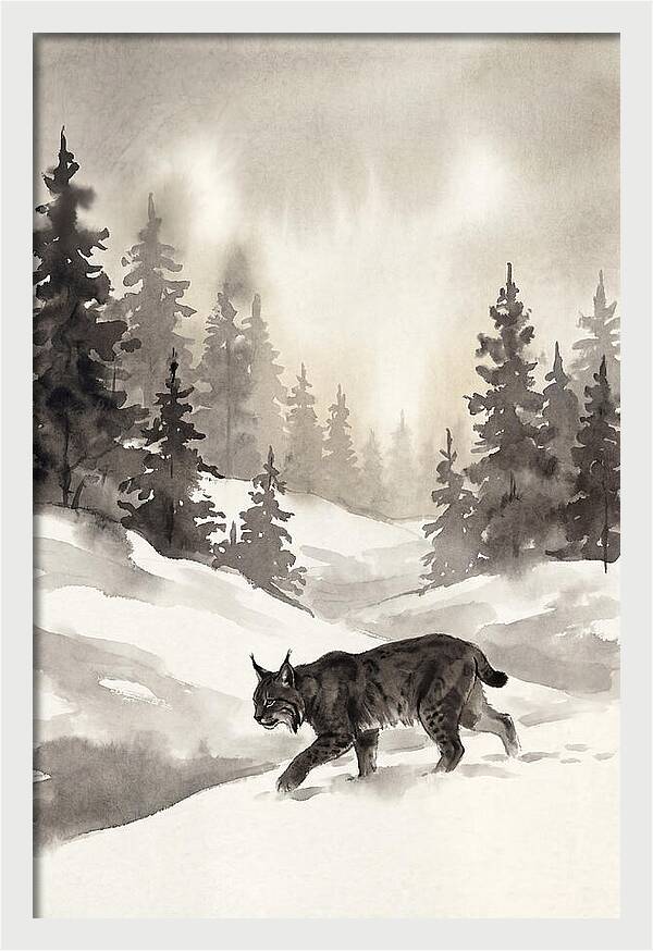 Lynx Hunting In Snow