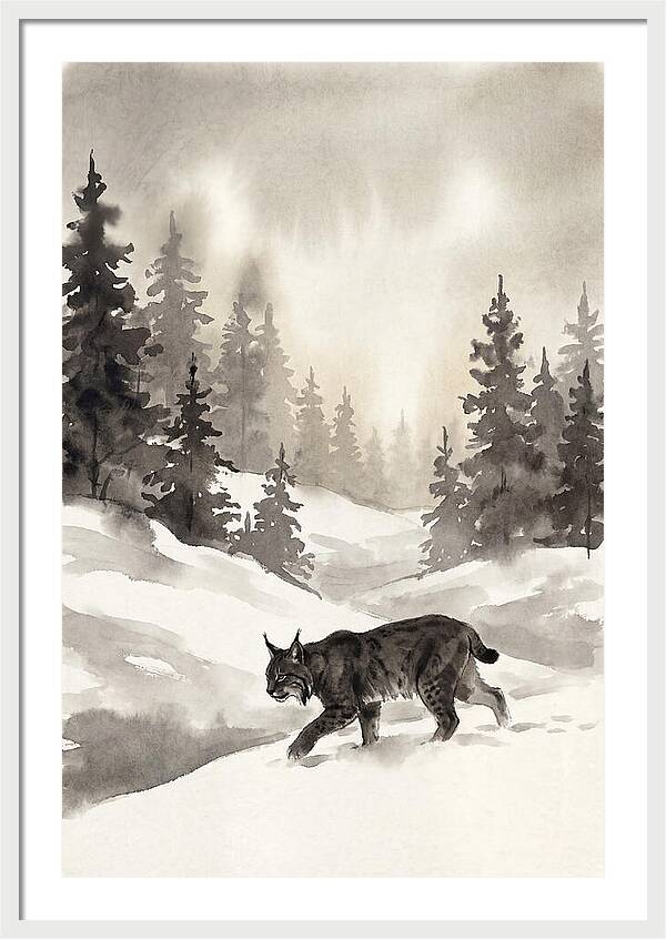 Lynx Hunting In Snow