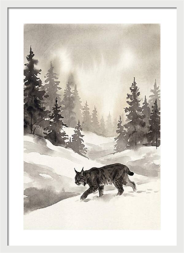 Lynx Hunting In Snow