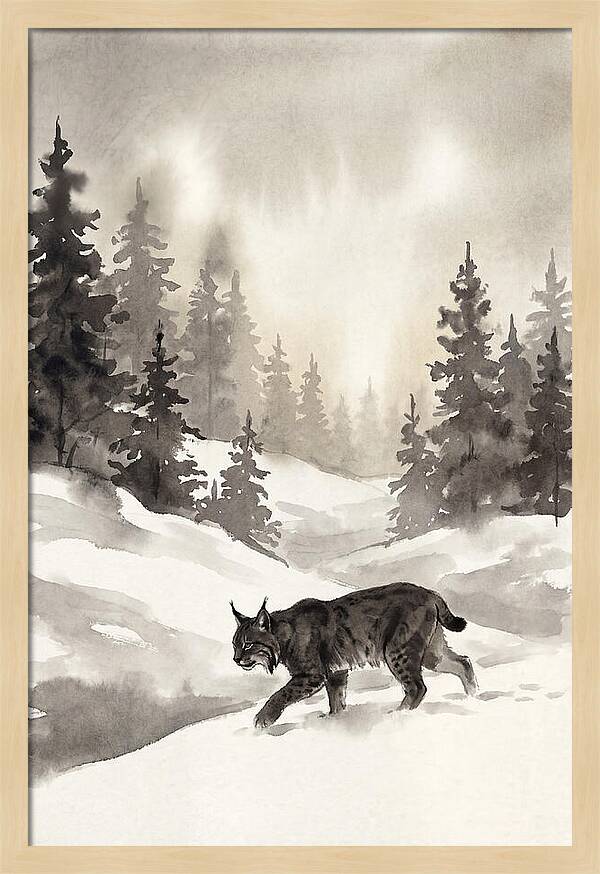 Lynx Hunting In Snow