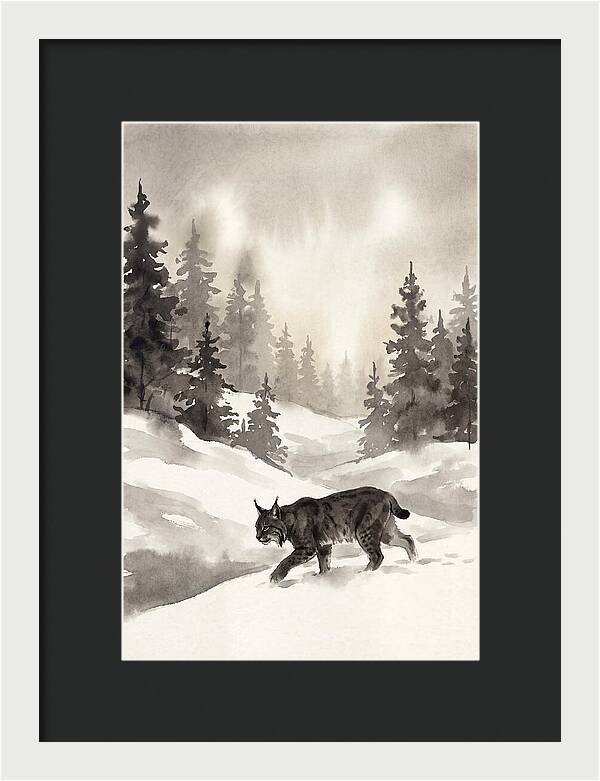 Lynx Hunting In Snow