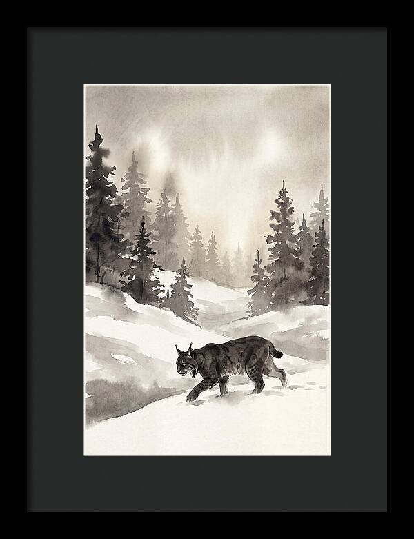 Lynx Hunting In Snow