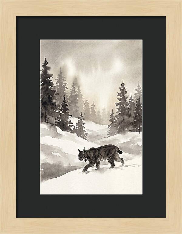 Lynx Hunting In Snow