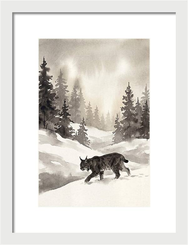 Lynx Hunting In Snow