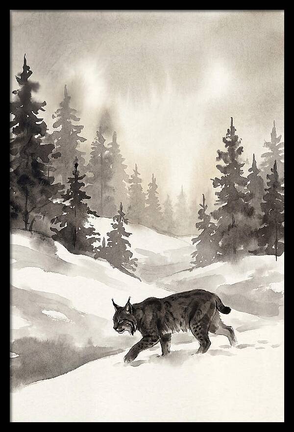 Lynx Hunting In Snow