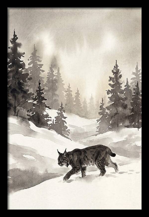 Lynx Hunting In Snow