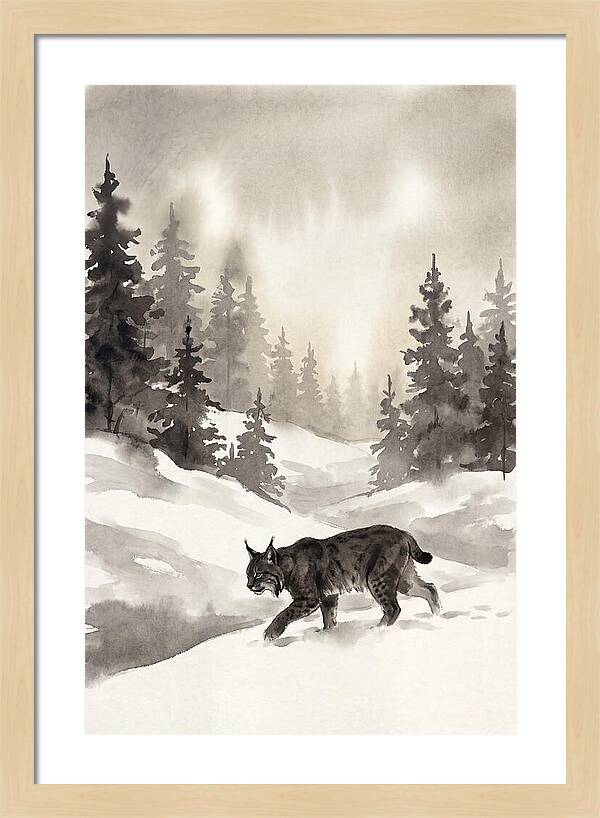 Lynx Hunting In Snow