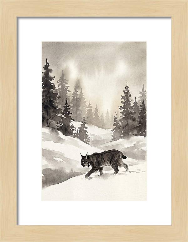 Lynx Hunting In Snow