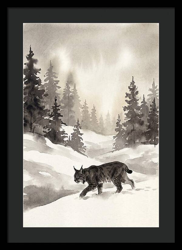 Lynx Hunting In Snow