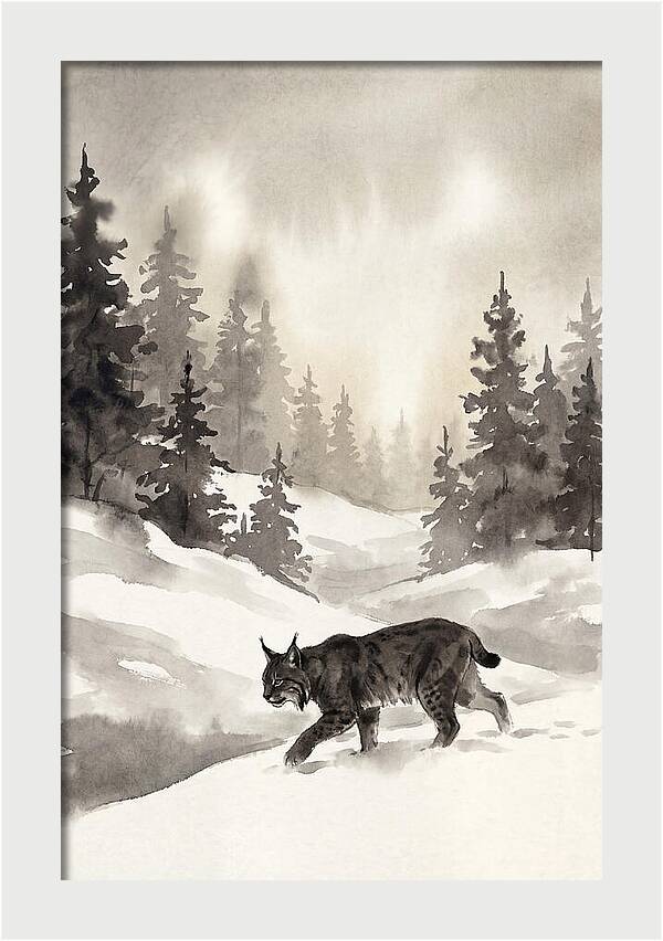 Lynx Hunting In Snow