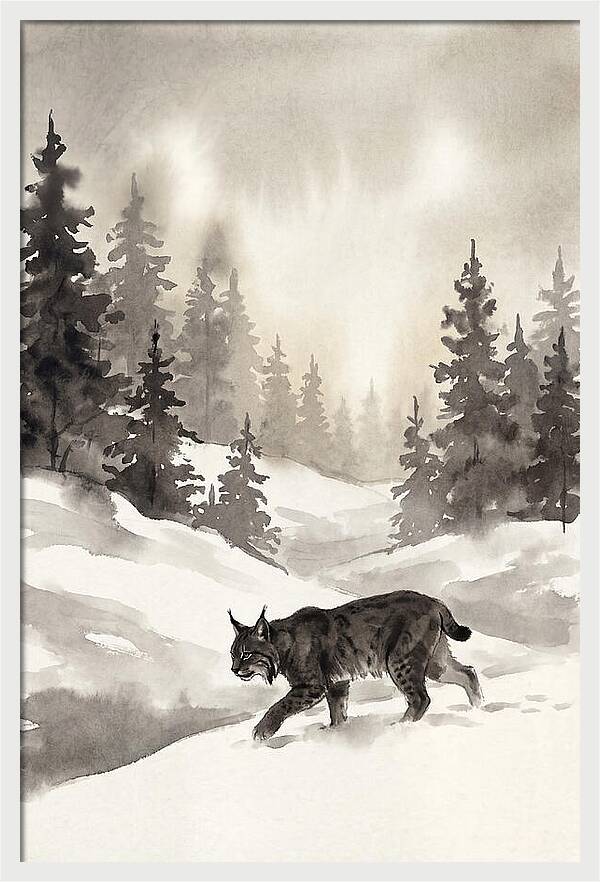 Lynx Hunting In Snow