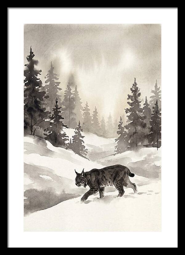 Lynx Hunting In Snow