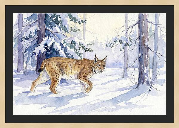 Lynx In Winter Wonderland