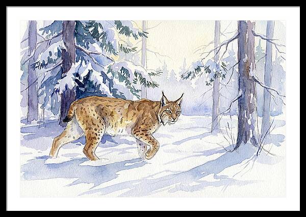 Lynx In Winter Wonderland
