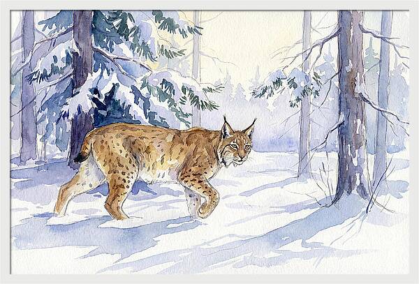 Lynx In Winter Wonderland