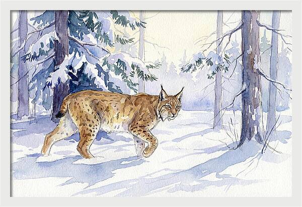 Lynx In Winter Wonderland