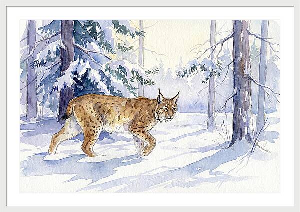 Lynx In Winter Wonderland
