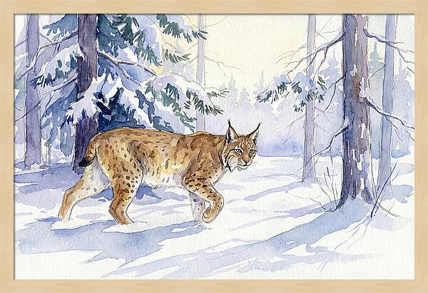 Lynx In Winter Wonderland