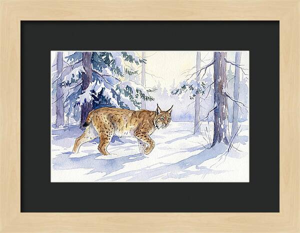 Lynx In Winter Wonderland