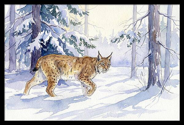 Lynx In Winter Wonderland