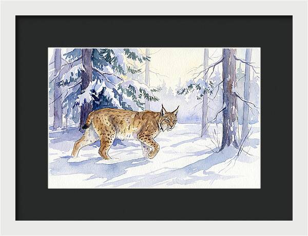 Lynx In Winter Wonderland