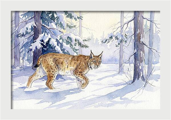 Lynx In Winter Wonderland