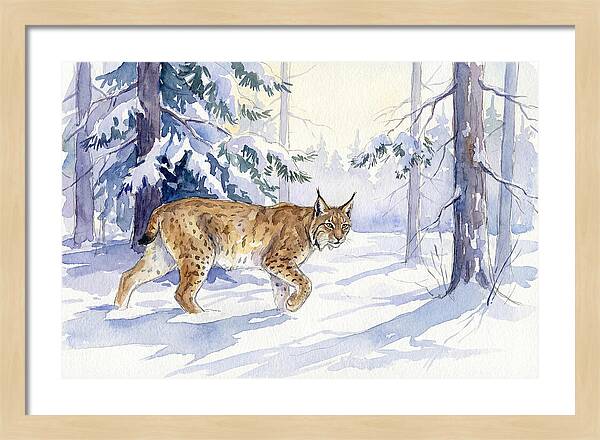Lynx In Winter Wonderland