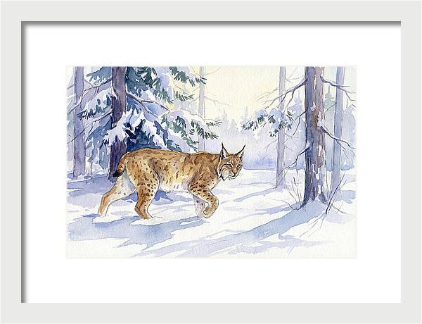 Lynx In Winter Wonderland