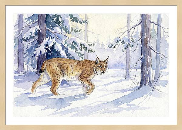 Lynx In Winter Wonderland