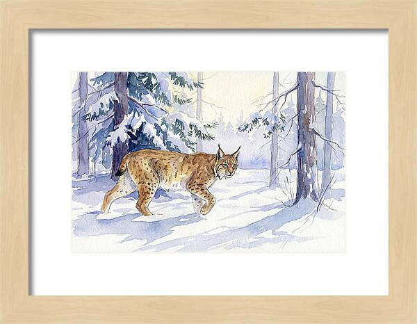 Lynx In Winter Wonderland