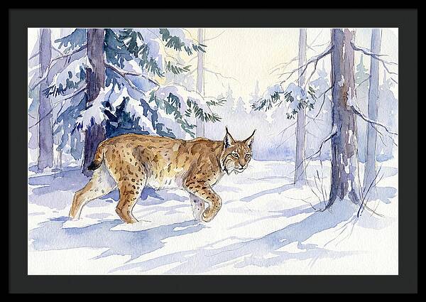 Lynx In Winter Wonderland