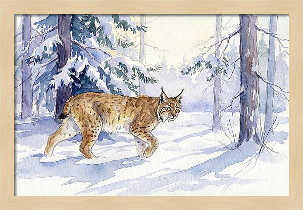 Lynx In Winter Wonderland