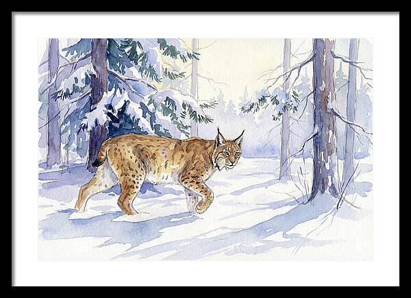 Lynx In Winter Wonderland