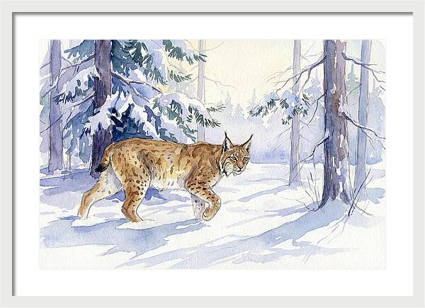 Lynx In Winter Wonderland