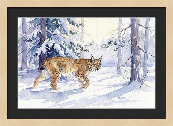 Lynx In Winter Wonderland