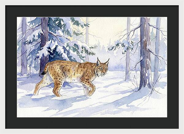 Lynx In Winter Wonderland