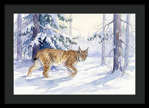 Lynx In Winter Wonderland