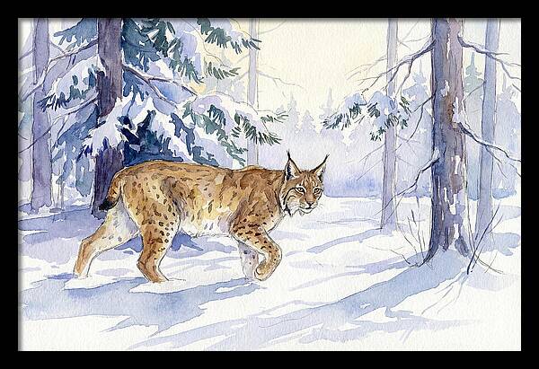 Lynx In Winter Wonderland