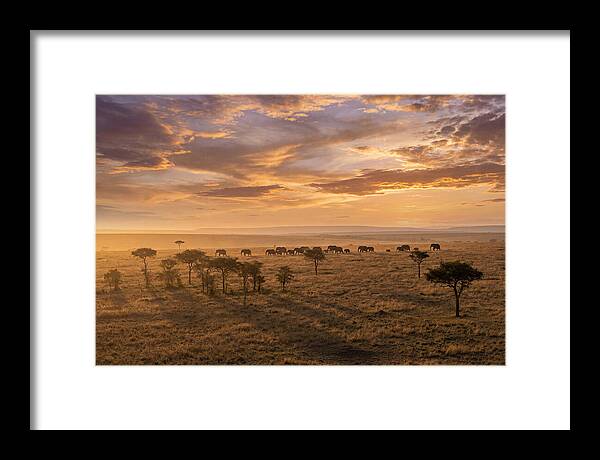 Maasai Mara Serenity At Dusk